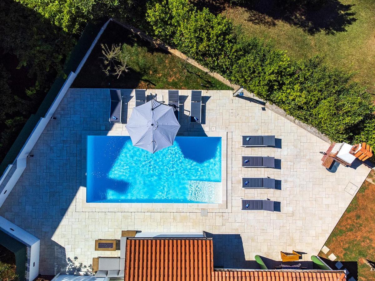 Big Swimming Pool Apartment Monvidal Póla Kültér fotó